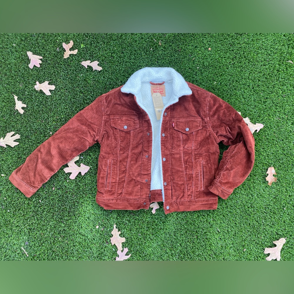Never worn Levi’s Ex-Boyfriend Trucker Jacket. Rust corduroy faux fur lining.
